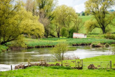 Güzel İrlandalı manzara