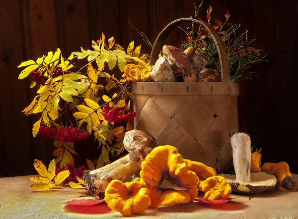 Mantarlı bir sonbahar.