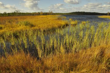 Finlandiya için güzel bir göle parçası. Avcılık ve balıkçılık için yer
