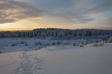 Renkli manzarada dağ orman kış gündoğumu