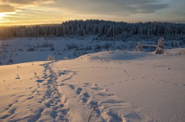 Renkli manzarada dağ orman kış gündoğumu