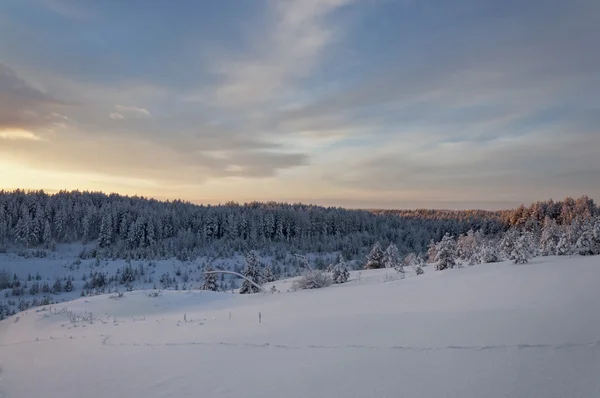 Colorful landscape at the winter sunrise in the mountain forest — Stock Photo, Image