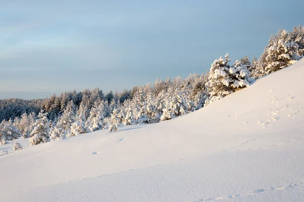 Colorful landscape at the winter sunrise in the mountain forest — Stock Photo, Image