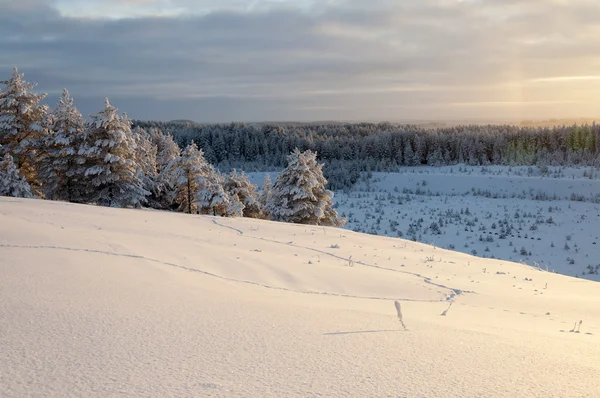 Beau paysage hivernal avec la forêt et le ciel bleu — Photo