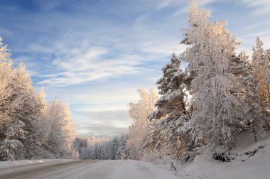 güzel kış manzara orman ve mavi gökyüzü ile