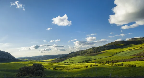 Bahar kırsal manzara mavi gökyüzü, alanları, bulutlar ve ağaçlar