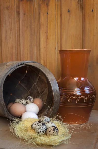 Chicken and quail eggs, healthy food with chicken farm on the table — Stock Photo, Image