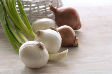 Soğan tablo farklı çeşitleri