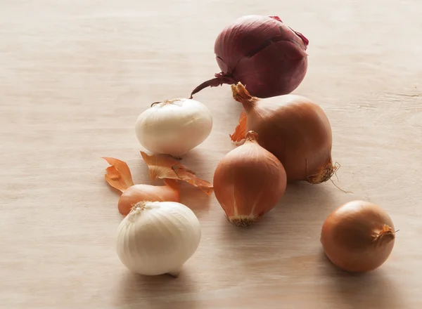 Different varieties of onions on the table — Stock Photo, Image