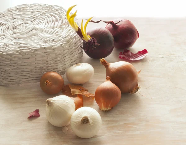 Different varieties of onions on the table — Stock Photo, Image