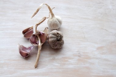 Sarımsak masanın üzerinde. Yıkanmamış sebze, çiftlik ürün