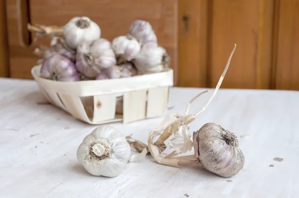 Garlic on the table. Unwashed vegetables, farm product — Stock Photo, Image