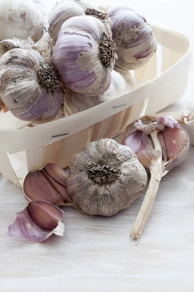 Garlic on the table. Unwashed vegetables, farm product — Stock Photo, Image