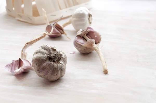 Garlic on the table. Unwashed vegetables, farm product — Stock Photo, Image