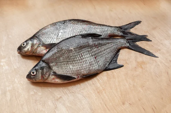 Fresh river fish bream on the table — Stock Photo, Image