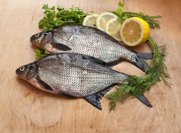 Taze nehir balık çipura masada