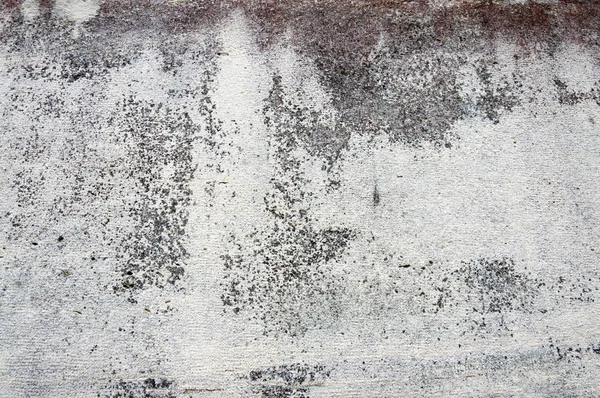 Bir duvar beton doku
