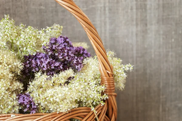 The basket of herbs and flowers closeup. — Stock Photo, Image