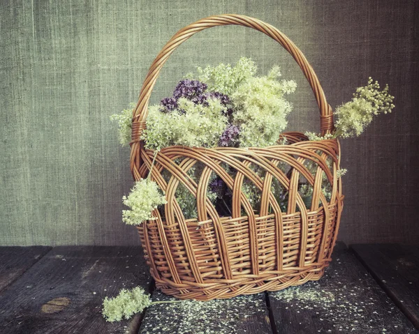 一篮子的草药和鲜花。在复古的风格。马郁兰和绣线菊 — 图库照片