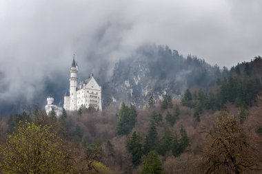 Neuschwanstein Kalesi Almanya