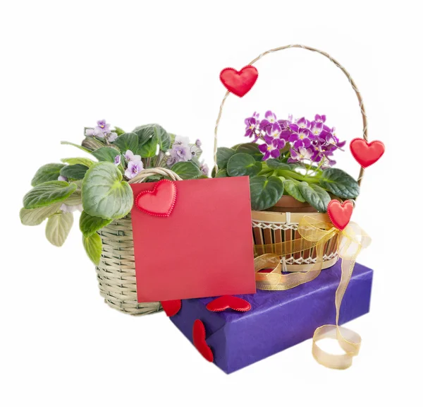 Çiçekler Menekşe ve kalpleri ve altın şerit ile hediye sepeti