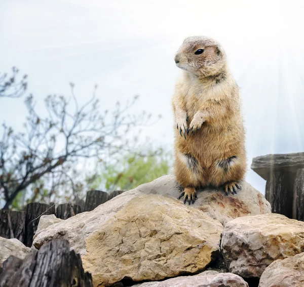 Bugün Aslında Dündü