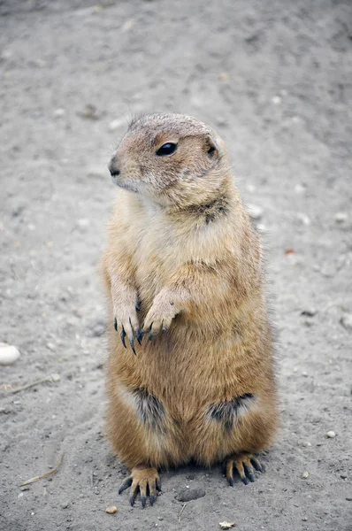 Bugün Aslında Dündü