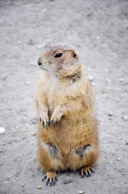 Bugün Aslında Dündü