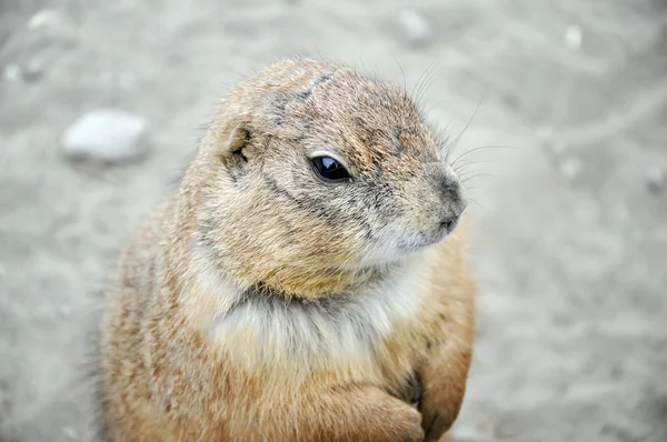 Bugün Aslında Dündü