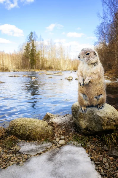 Bugün Aslında Dündü