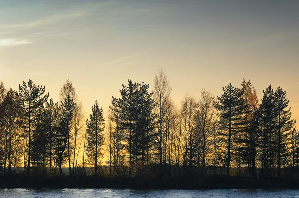 Golden sunset bulvarında göl