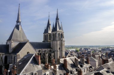 Cathedral Saint-Louis in Blois, France clipart