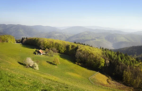 Geleneksel çiftlik ilçe Alpler ile pastoral manzara