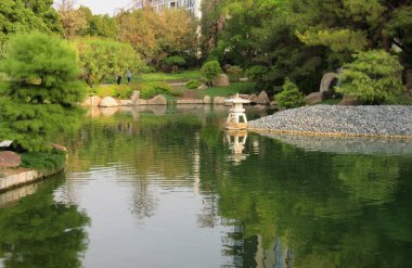 Phoenix, Arizona 'da büyük bir Japon bahçe parkında bulunan bir Koi balık havuzu. 