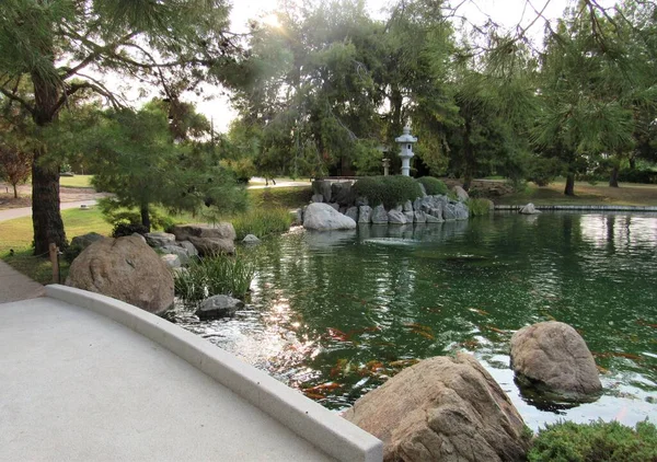 位于亚利桑那州凤凰城的一个大型日本花园公园内的科伊鱼塘 — 图库照片