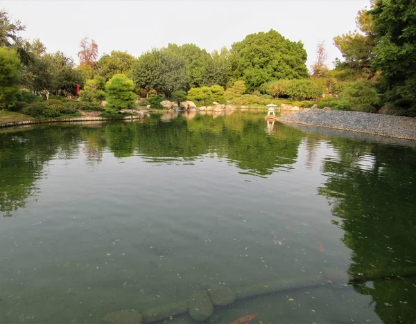 Ein Koi Fischteich Einem Großen Japanischen Gartenpark Phoenix Arizona — Stockfoto