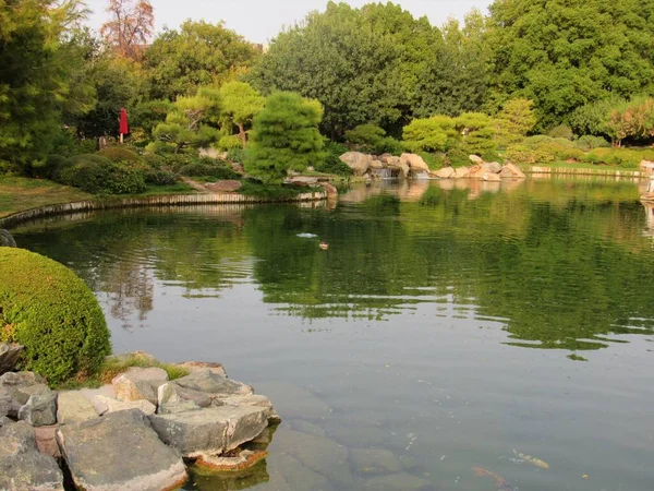 Ein Koi Fischteich Einem Großen Japanischen Gartenpark Phoenix Arizona — Stockfoto