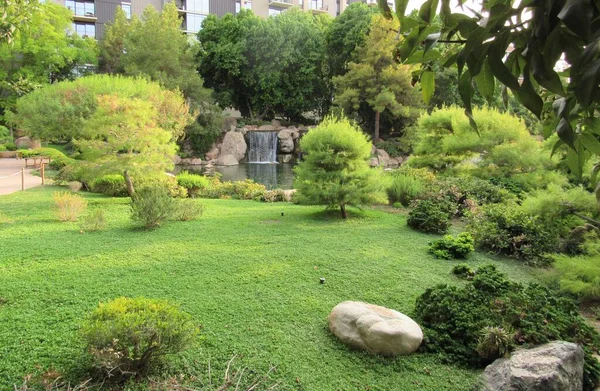 Jardín Japonés Con Muchos Árboles Estanque Peces Koi Con Una — Foto de Stock