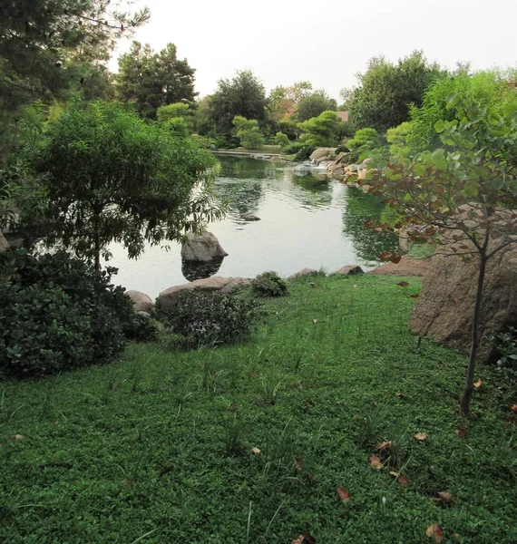 Japanischer Garten Mit Vielen Bäumen Und Koi Fischteich Mit Wasserfall — Stockfoto