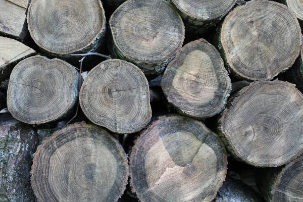 stock image Closeup of a stacked cut wood pile outside for a fireplace  