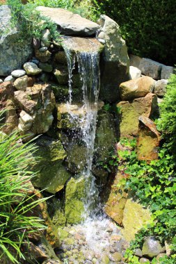 Güneşli bir günde bir adam Koi balık havuzuna giden bir şelale ve akarsu yaptı. 