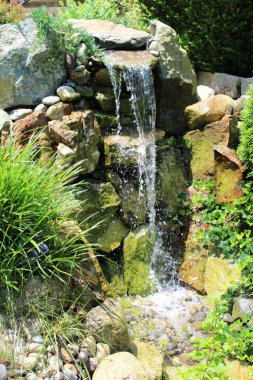 Güneşli bir günde bir adam Koi balık havuzuna giden bir şelale ve akarsu yaptı. 