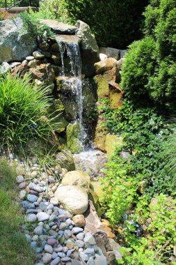 Güneşli bir günde bir adam Koi balık havuzuna giden bir şelale ve akarsu yaptı. 