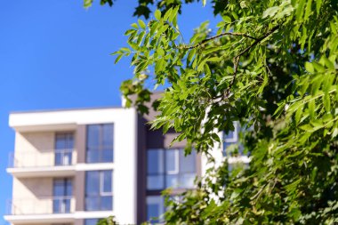 Mavi arka planda yeşil yaprakları olan modern bir ev.