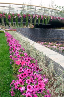 park alanında çiçek