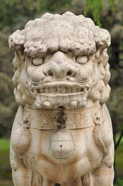 Chinese traditional lion sculpture — Stock Photo, Image