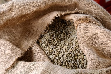 Yeşil kahve çekirdekleri