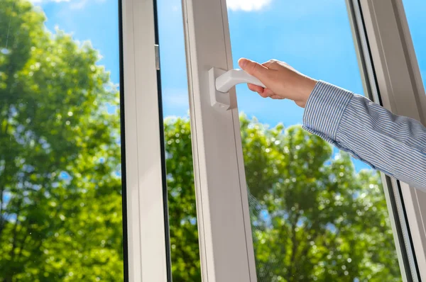 Plastik vinil pencere