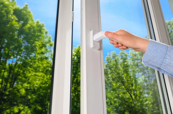 Plastik vinil pencere