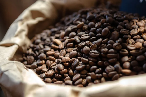 Coffee beans — Stock Photo, Image